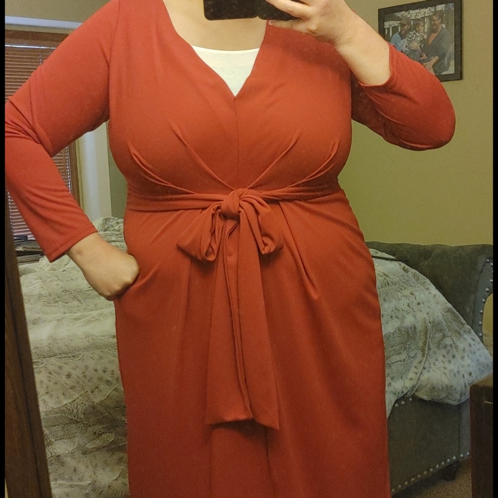 Long Red Dress - Picture 8 of 8